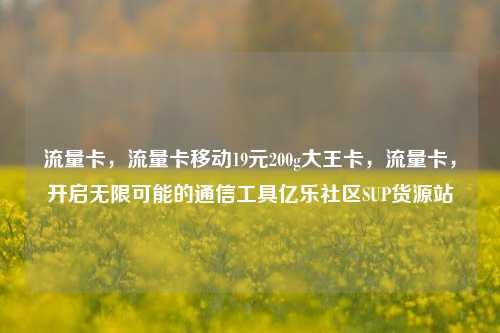 流量卡，流量卡移动19元200g大王卡	，流量卡，开启无限可能的通信工具亿乐社区SUP货源站  第1张