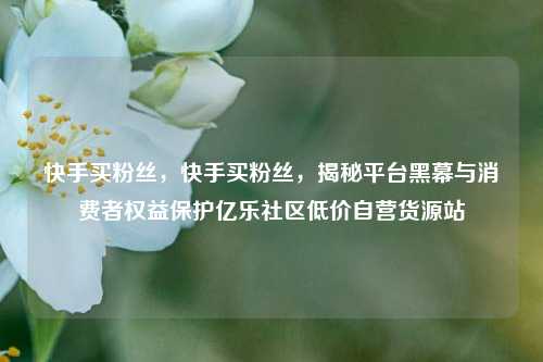 快手买粉丝，快手买粉丝，揭秘平台黑幕与消费者权益保护亿乐社区低价自营货源站  第1张