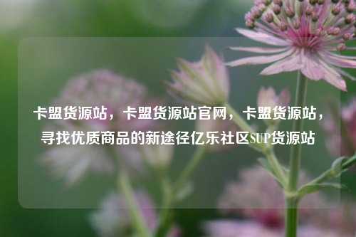 卡盟货源站，卡盟货源站官网，卡盟货源站	，寻找优质商品的新途径亿乐社区SUP货源站  第1张