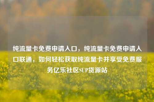 纯流量卡免费申请入口，纯流量卡免费申请入口联通	，如何轻松获取纯流量卡并享受免费服务亿乐社区SUP货源站  第1张